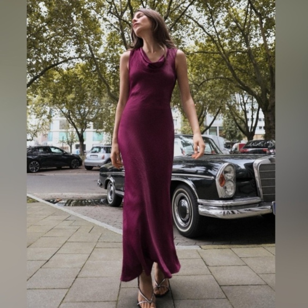 Zara Women's Backless Plum Dress